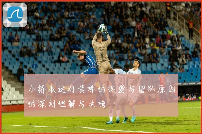 小桥表达对黄蜂的热爱与留队原因的深刻理解与共鸣