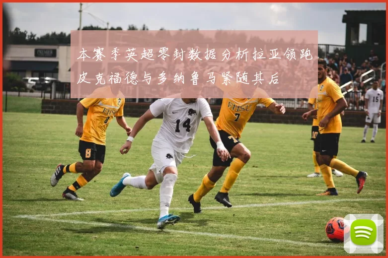 本赛季英超零封数据分析拉亚领跑皮克福德与多纳鲁马紧随其后